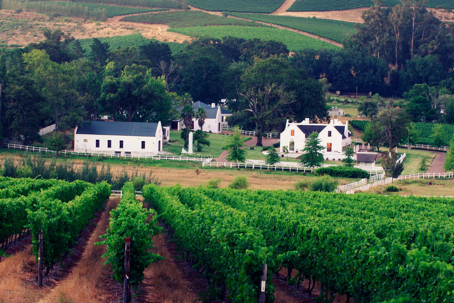 South Africa Constantia Wine Region